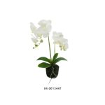 Planta Orquídea Branca