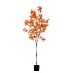 Planta de Outono